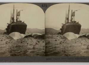 Hvalfangerbåt i Spitsbergen, Lapland (ca 1910)