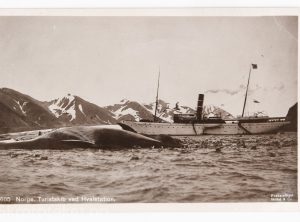 DS «Kong Harald» ved Hvalstasjon i Bell Sound, Spitsbergen – Anders Beer Wilse (1900)