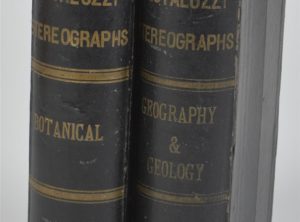 Pestalozzi Stereographs Botanical – Pestalozzi Stereographs Geography & Geology