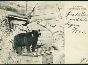 Kristiania kommunale bjørn (1916)